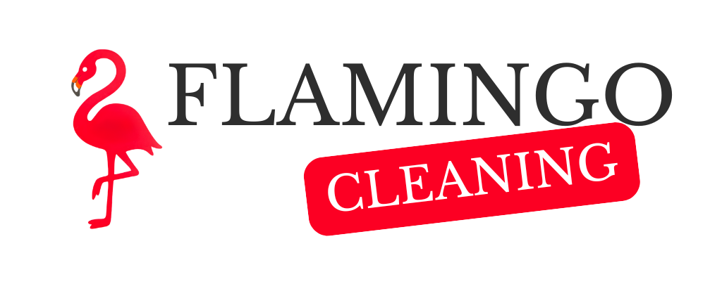 FLAMINGO cleaning Logo web mind